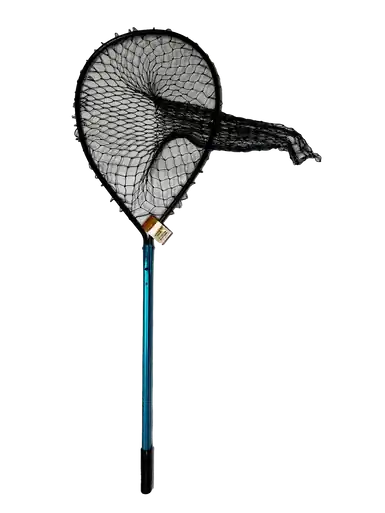 Beau Mac Trout Net Don't Miss Out