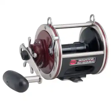 Clearance Penn Special Senator Star Drag Reels